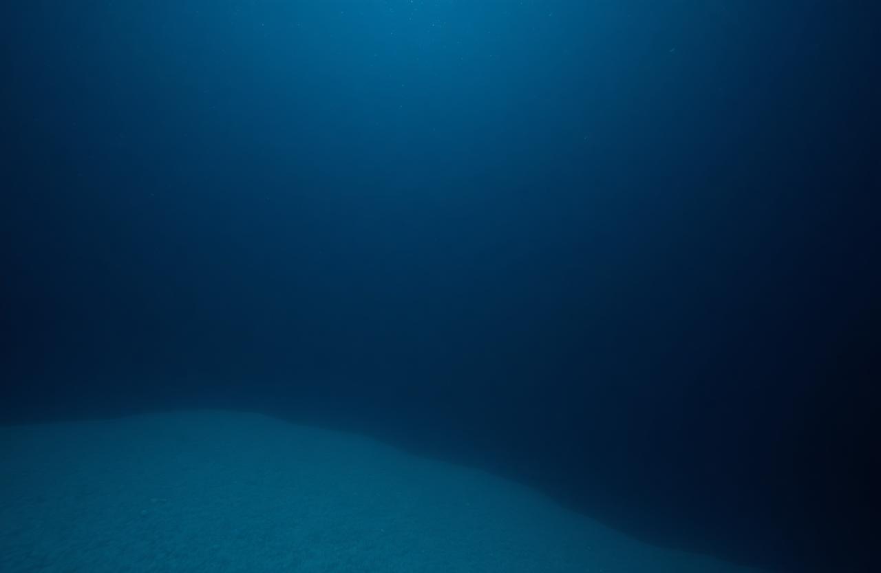 Dark blue underwater scene fading into the abyss