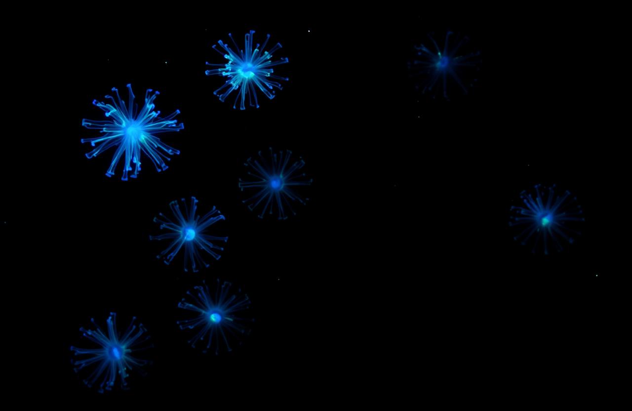 Glowing plankton in dark water